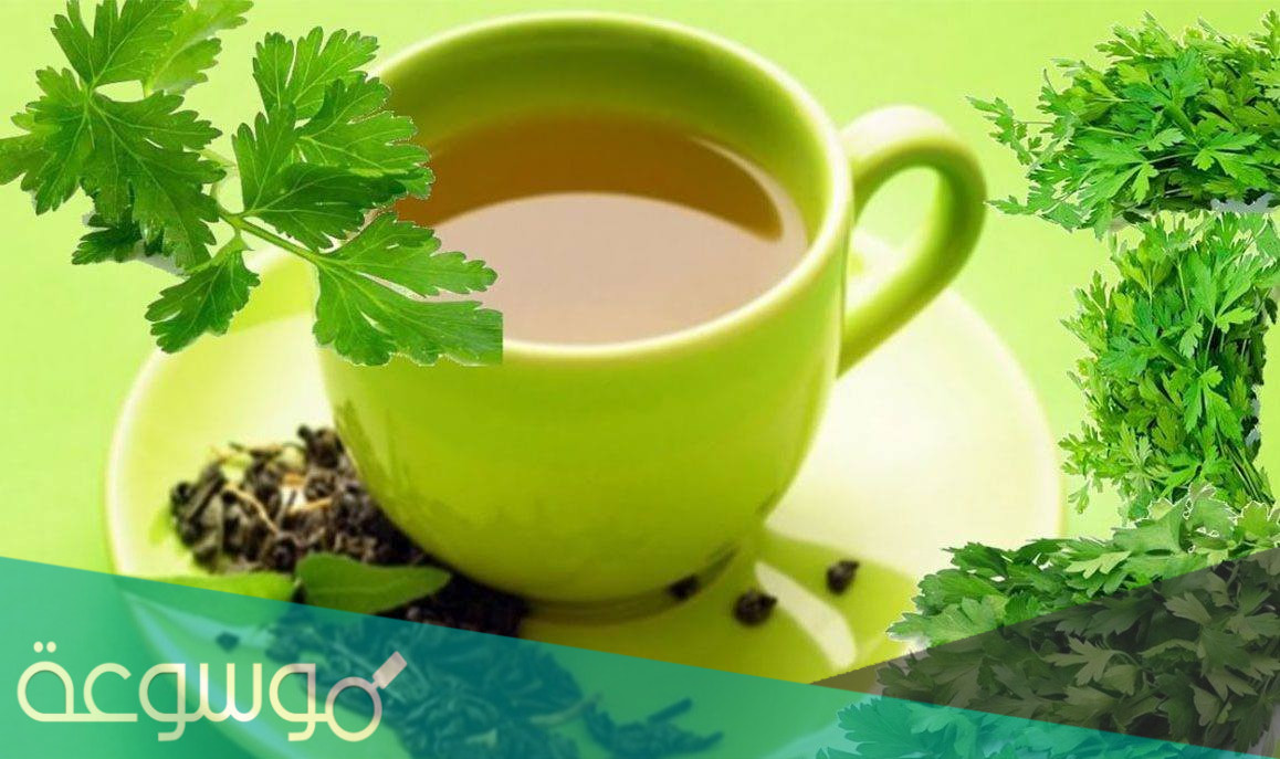 طرق علاج حرقان البول نهائيا