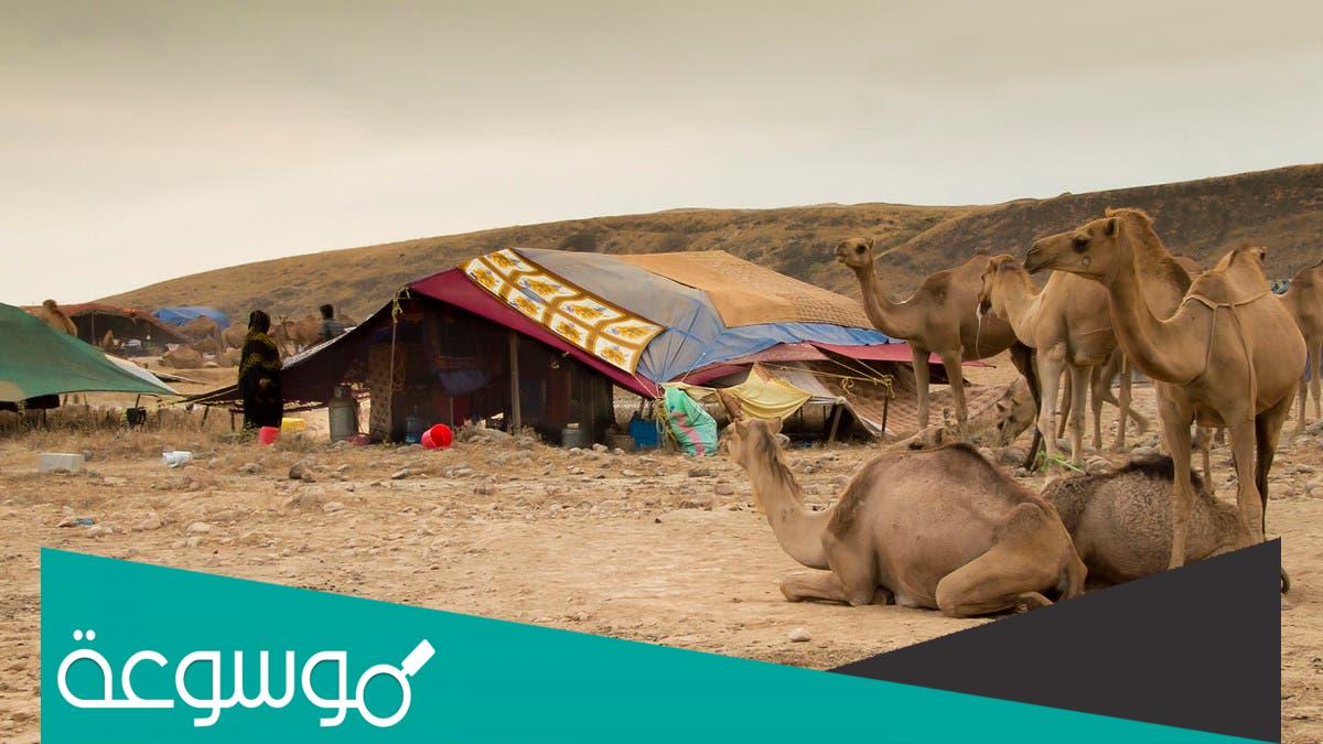 عائلة درندري وش يرجع