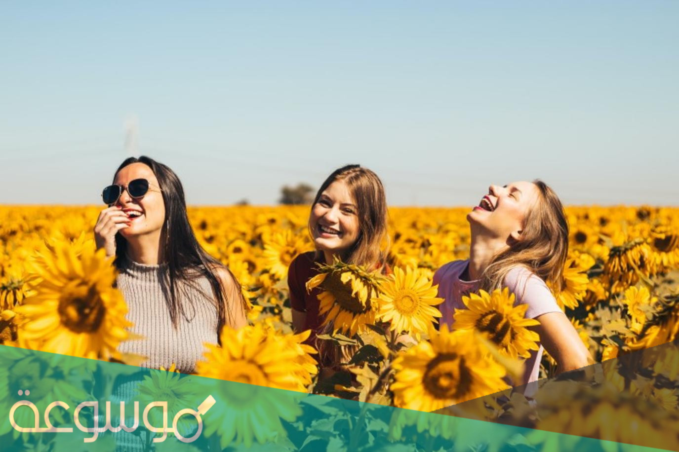 عبارات عن الصداقة الحقيقية