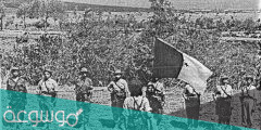 عبارات لذكرى اندلاع ثورة التحرير 1 نوفمبر 1954