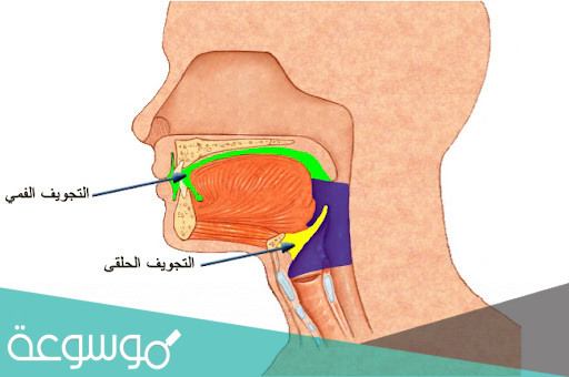 عدد المخارج العامة لحروف الهجاء
