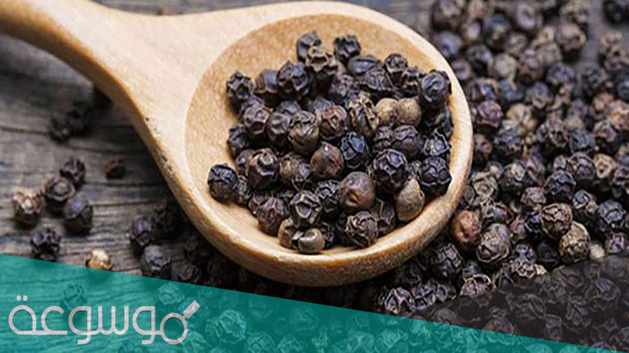 فائدة الفلفل الاسود للجسم