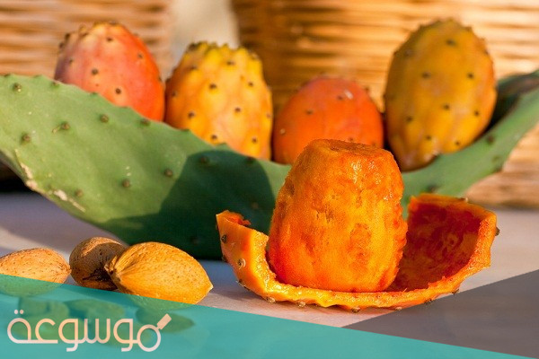 فوائد التين الشوكي الصبر