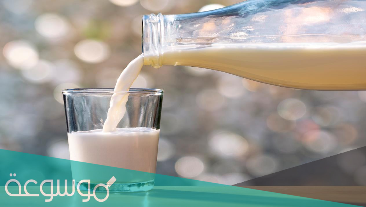 فوائد الحليب للجسم