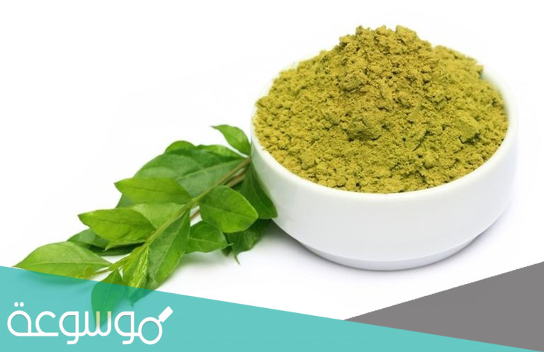 فوائد الحنه للجسم والشعر