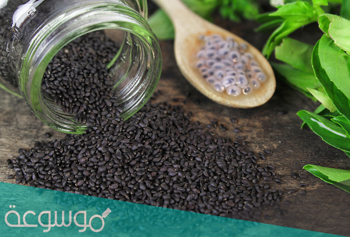 فوائد بذور الريحان الصحية