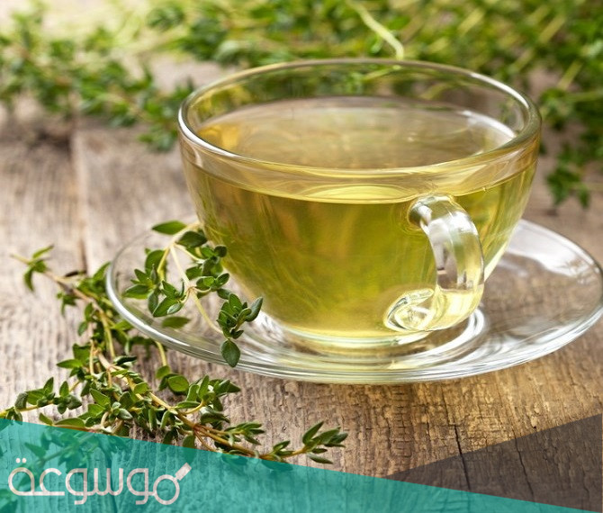 فوائد مشروب الزعتر
