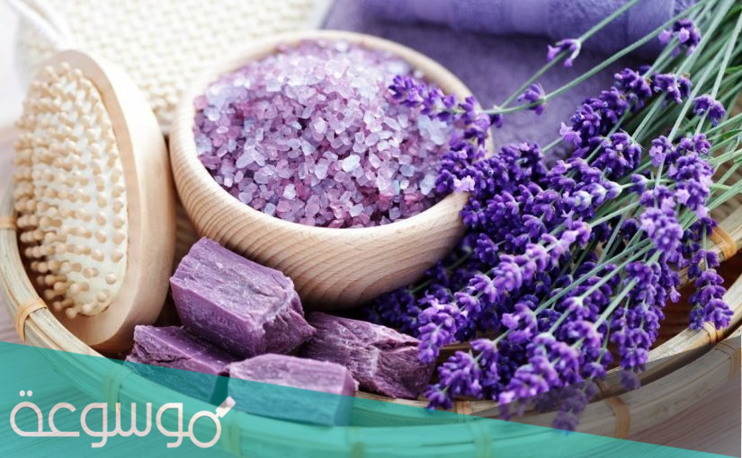 فوائد واضرار عشبة الخزامى Lavender