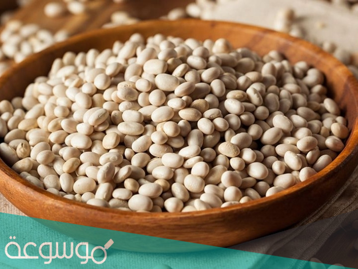 فوائد ومضار الفاصوليا البيضاء