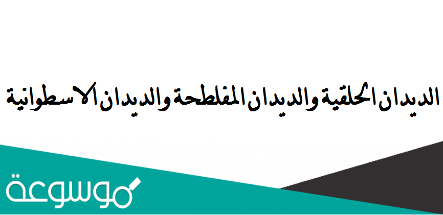 قارن بين الديدان الحلقية والديدان المفلطحة والديدان الاسطوانية