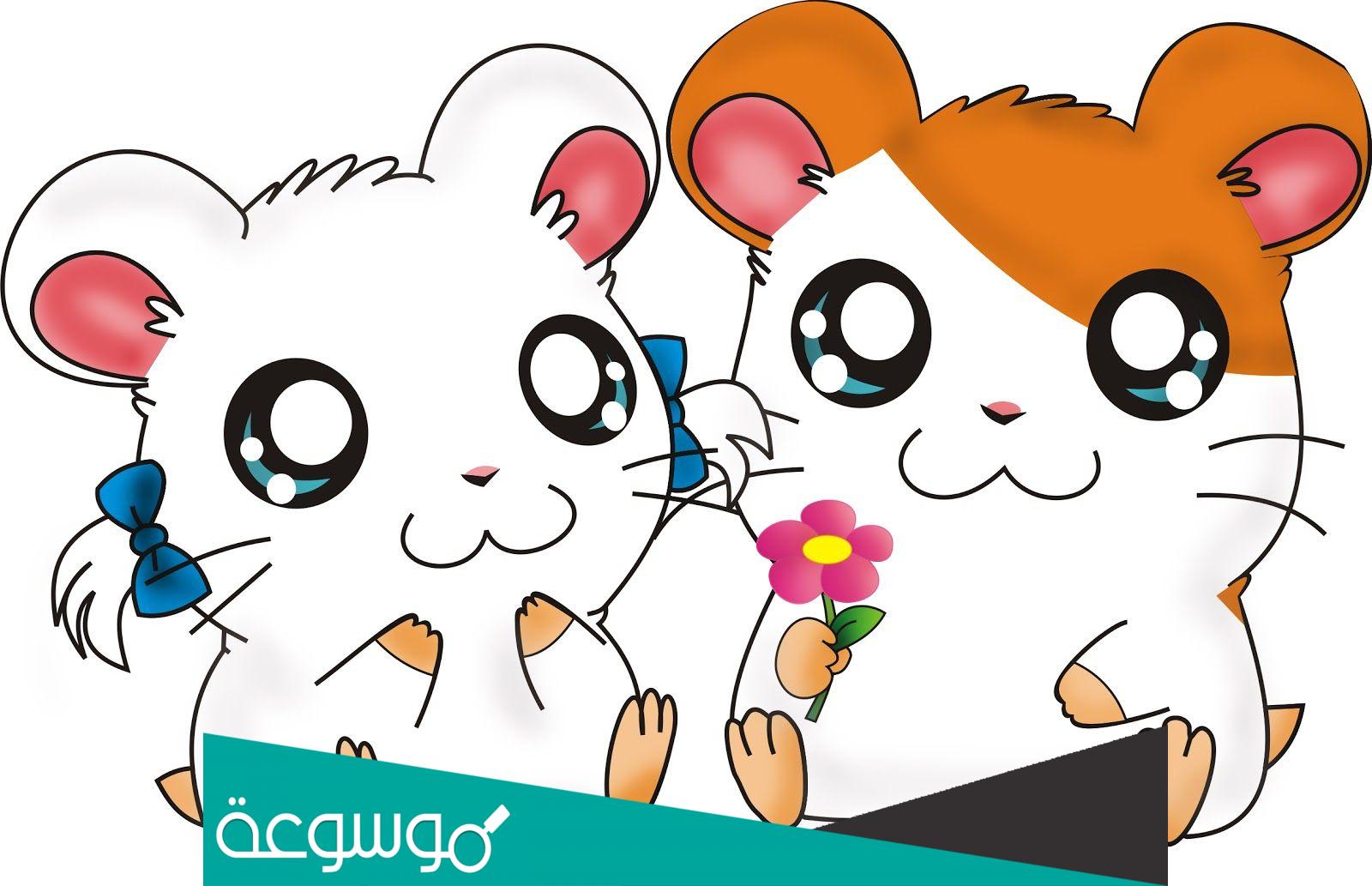 كلمات هل تعرفون من هو همتارو