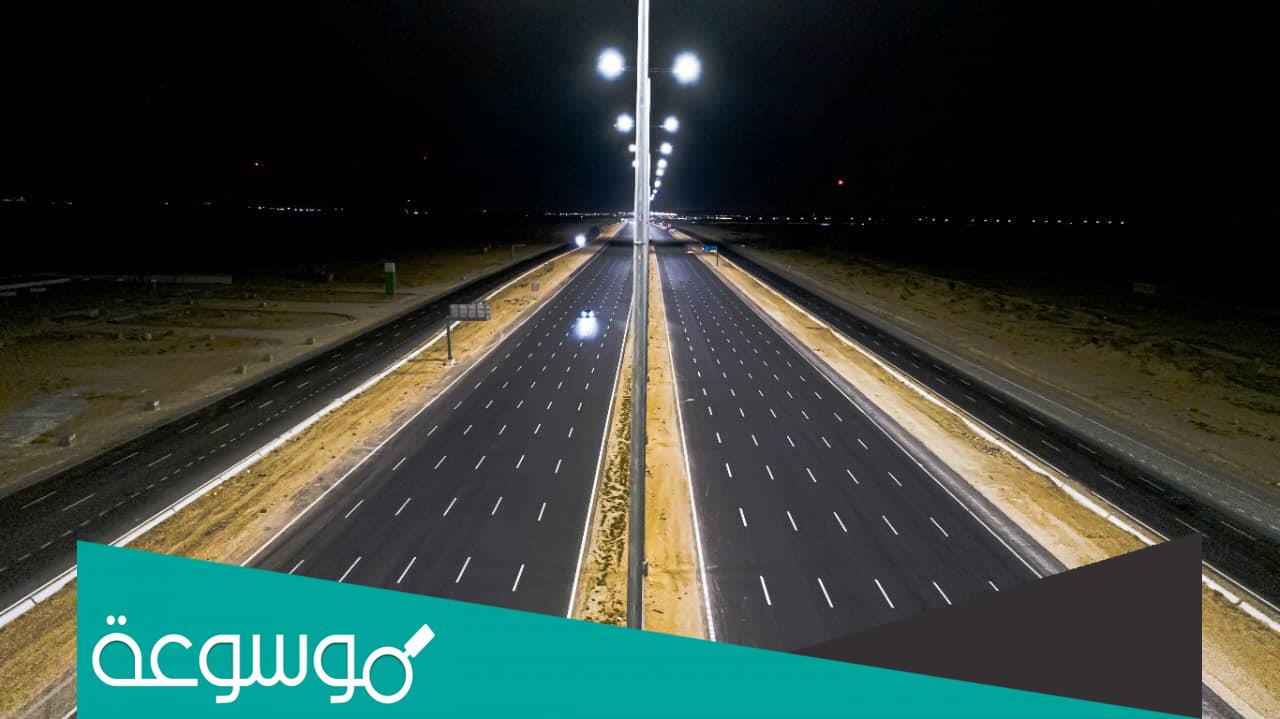 كم تبعد العلا عن نيوم