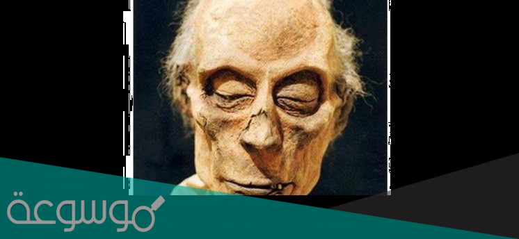 كم طول فرعون الحقيقي