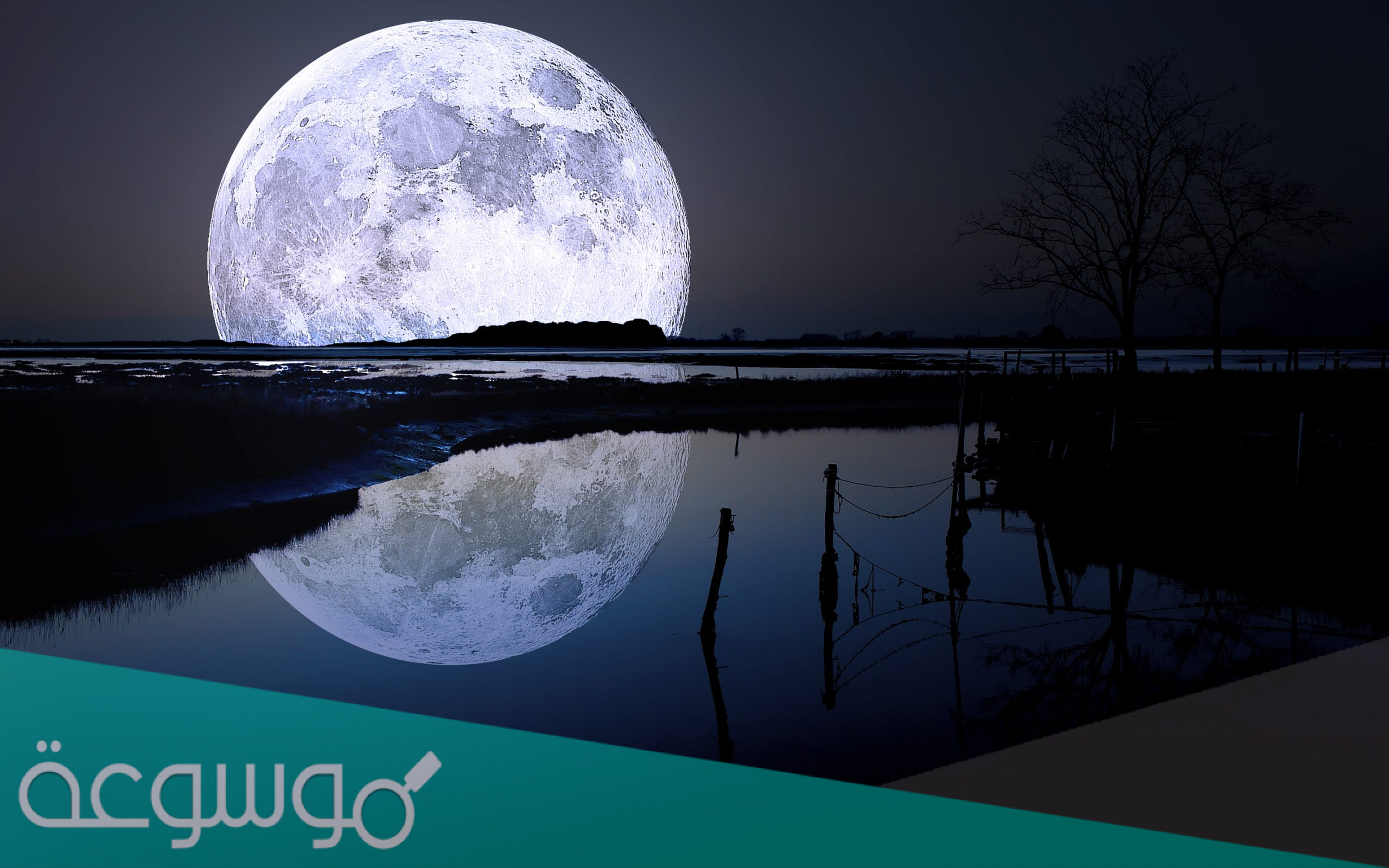 كم مر يدور القمر حول الارض