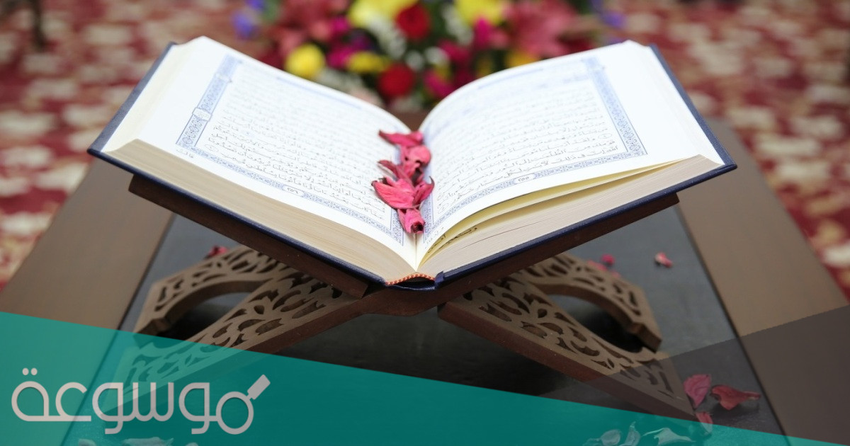 كم مره ورد اسم الحليم في القران