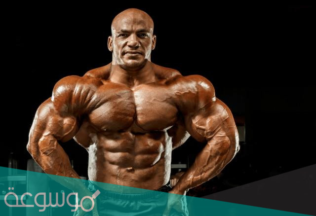 كم وزن البيج رامي