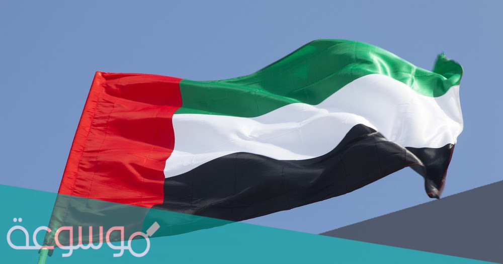 لماذا تم اختيار 3 نوفمبر يوم العلم