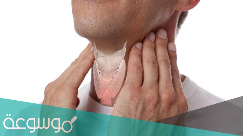 لماذا سميت الغدد الصماء بهذا الاسم