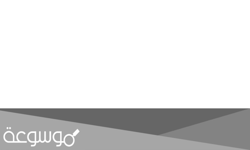 لماذا سميت شجرة الذاكرة بهذا الاسم