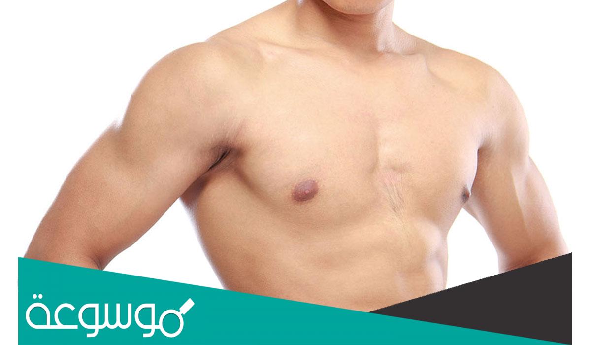 لماذا يمتلك الرجل حلمتان