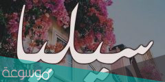 ما معنى اسم سيليا في اللغة العربية