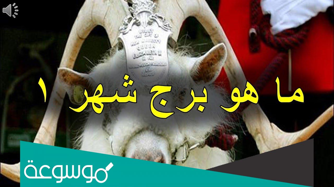 ما هو برج شهر 1 في الابراج