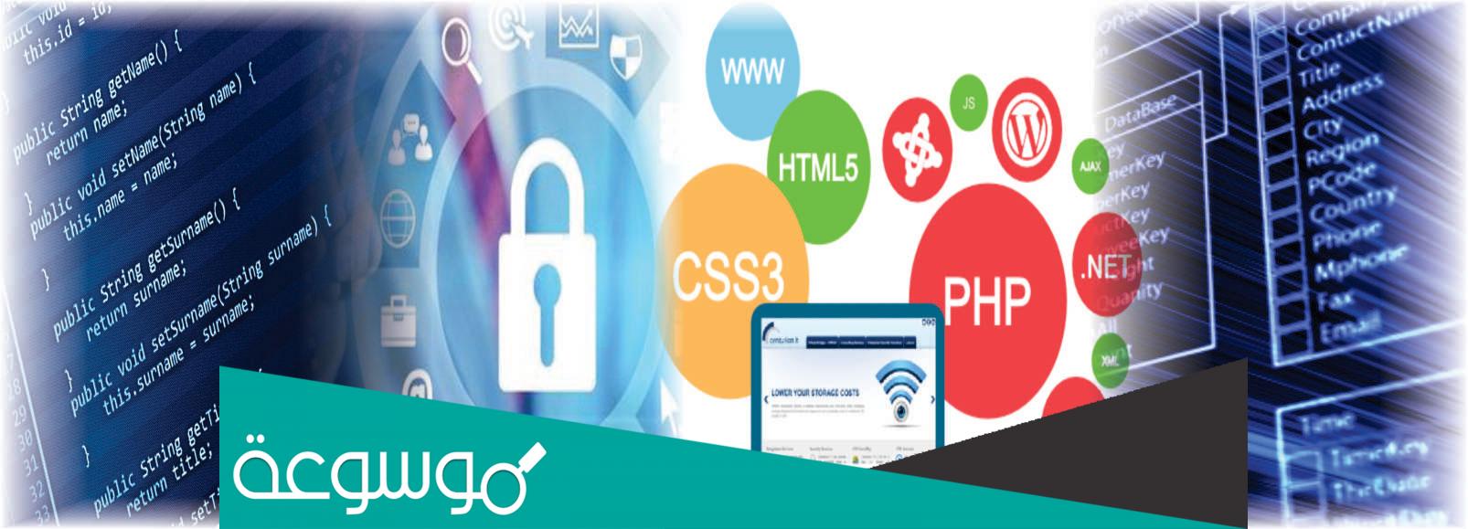 ما هو برنامج ادارة تكنولوجيا المعلومات