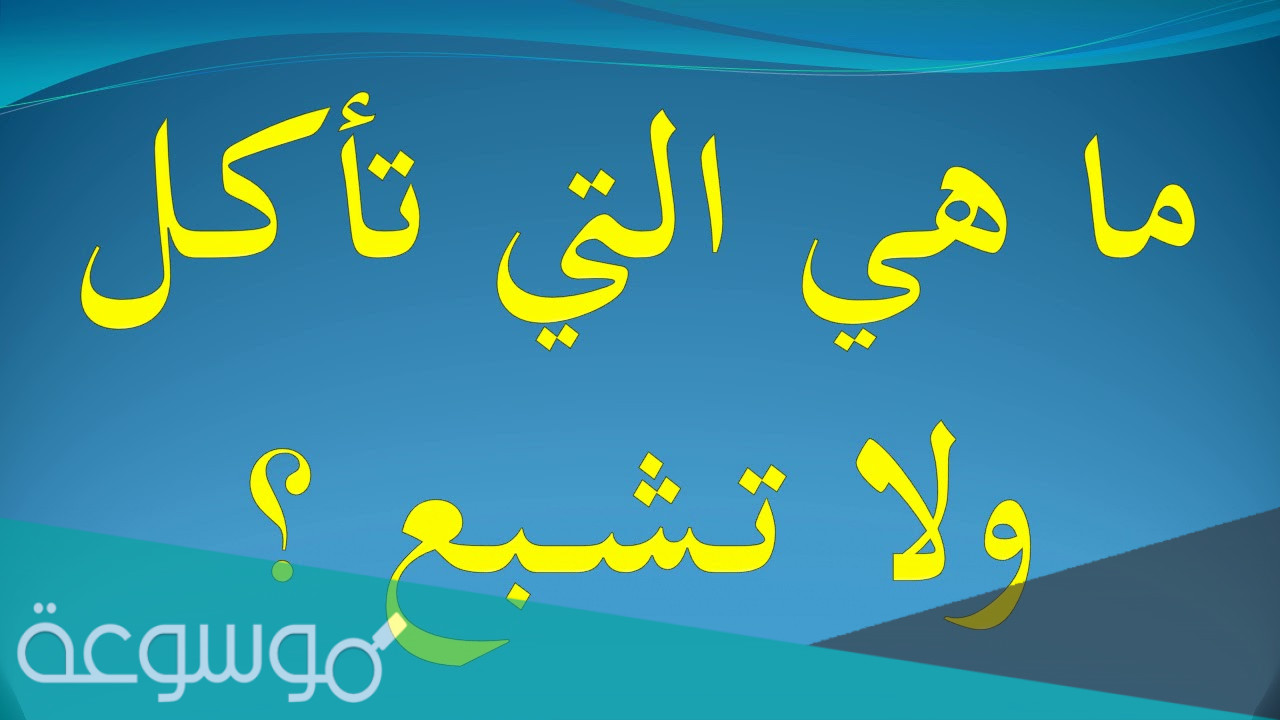 ما هي التي تأكل و لا تشبع