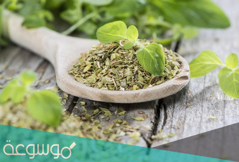 ما هي فوائد البردقوش للرجال والنساء