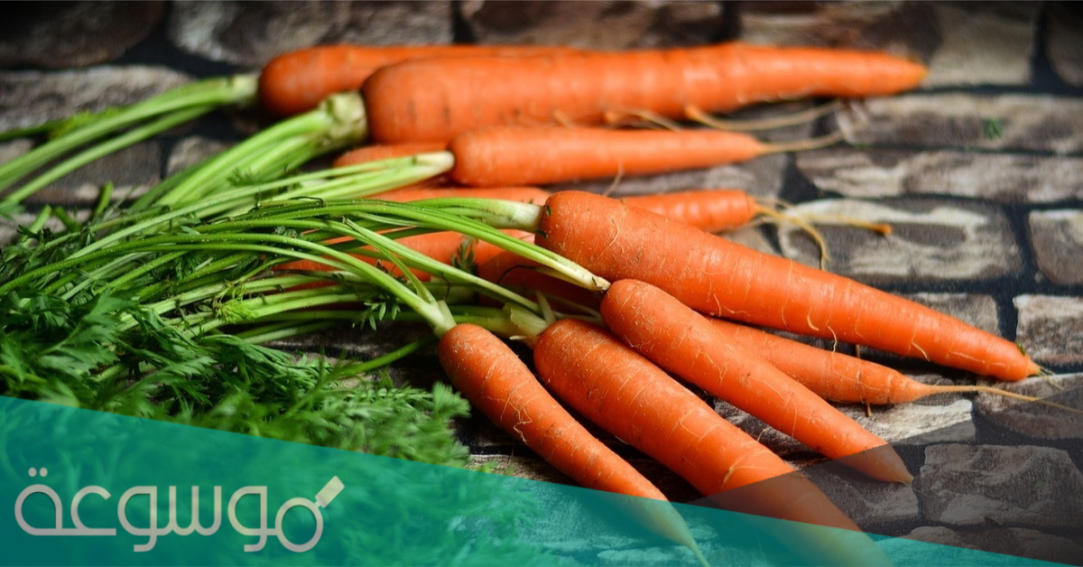 ما هي فوائد الجزر للجسم