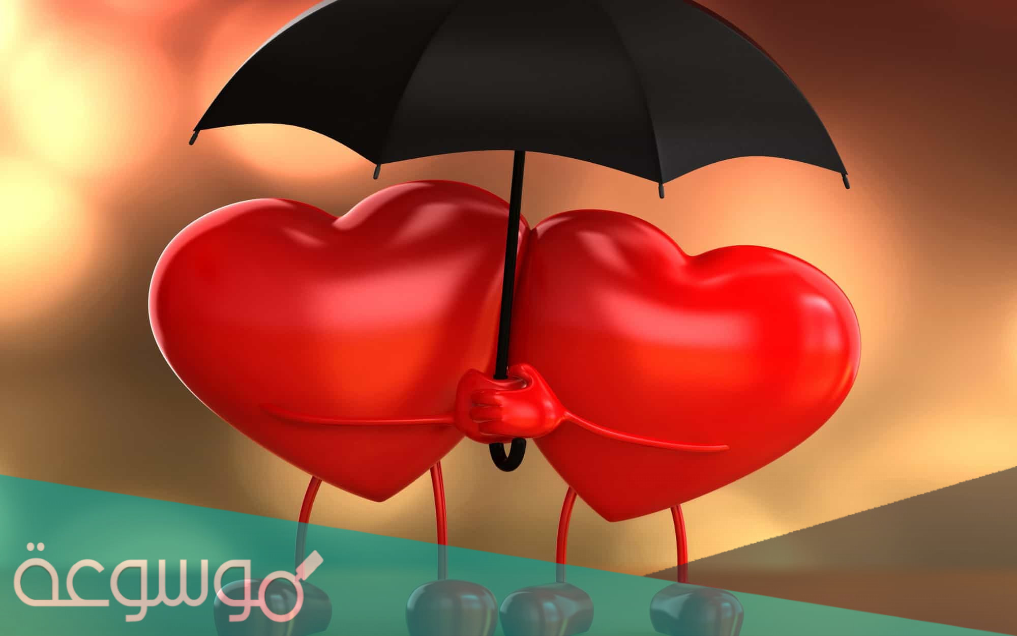 ماذا يحتاج الحب لكي يستمر