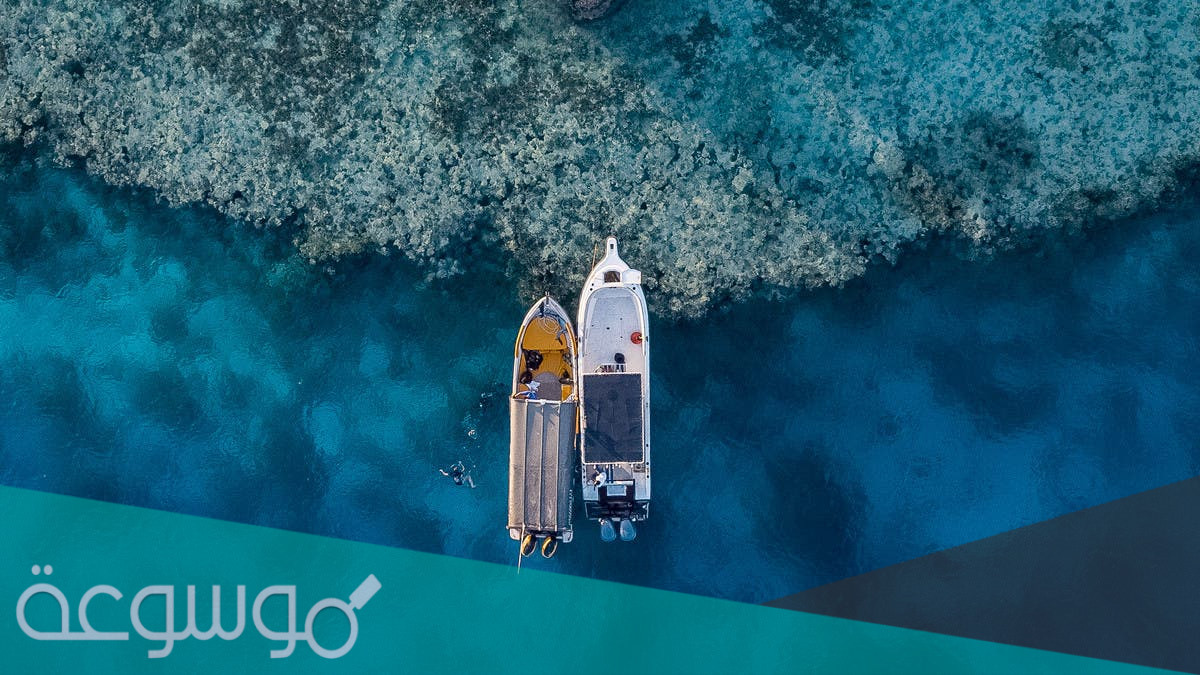 ماهي خطط المشروع العملاق ذا لاين