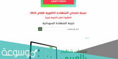 معرفة تفاصيل نتيجة الشهادة السودانية 2021