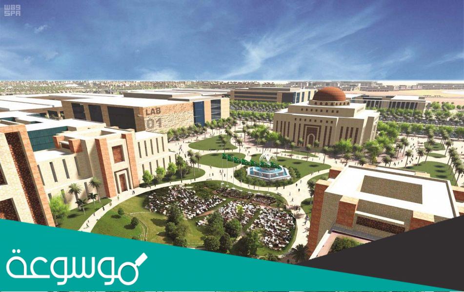 معلومات عن مدينة سبارك