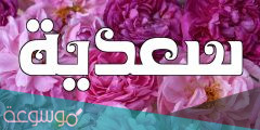معنى اسم سعدية وصفاتها
