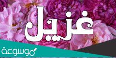 معنى اسم غزيل وشخصيتها