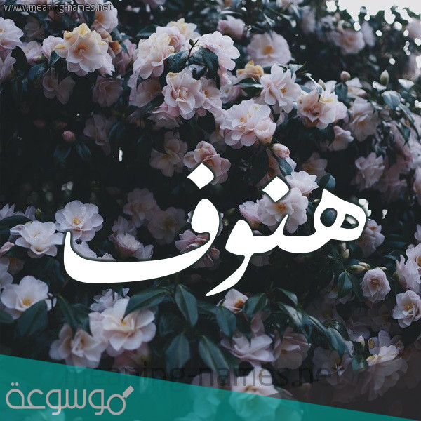 معنى اسم هنوف