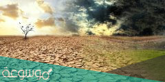 معنى التصحر وأسبابه ومخاطره
