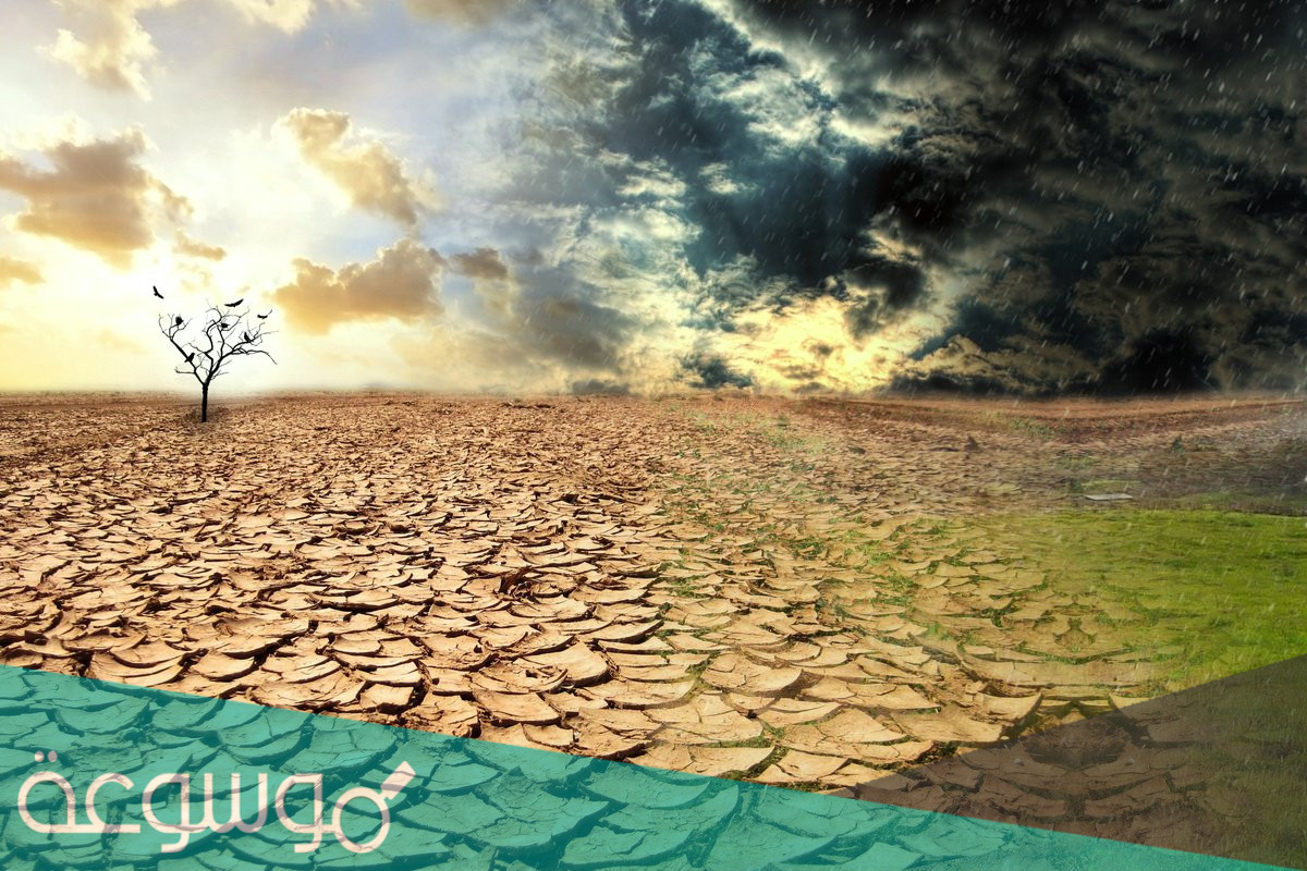 معنى التصحر وأسبابه ومخاطره