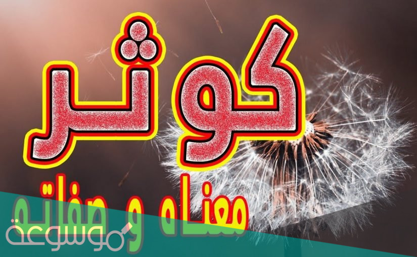 معنى الكوثر