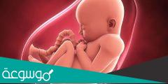 هل يدفن الجنين في عمر شهرين