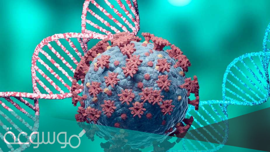 ما هو المتحور الجديد فيروس "هيهي" وما هي اعراضه