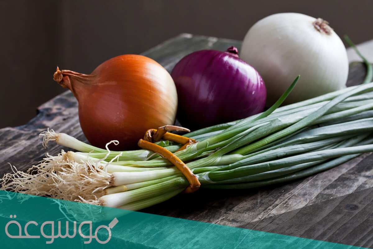 ﻿تفسير البصل في المنام للعزباء