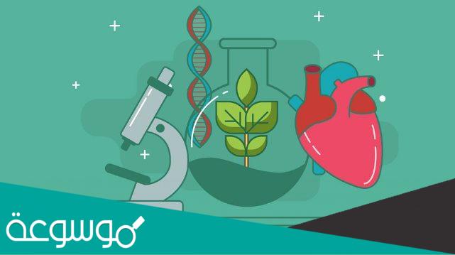 ماهي وظائف تخصص الاحياء