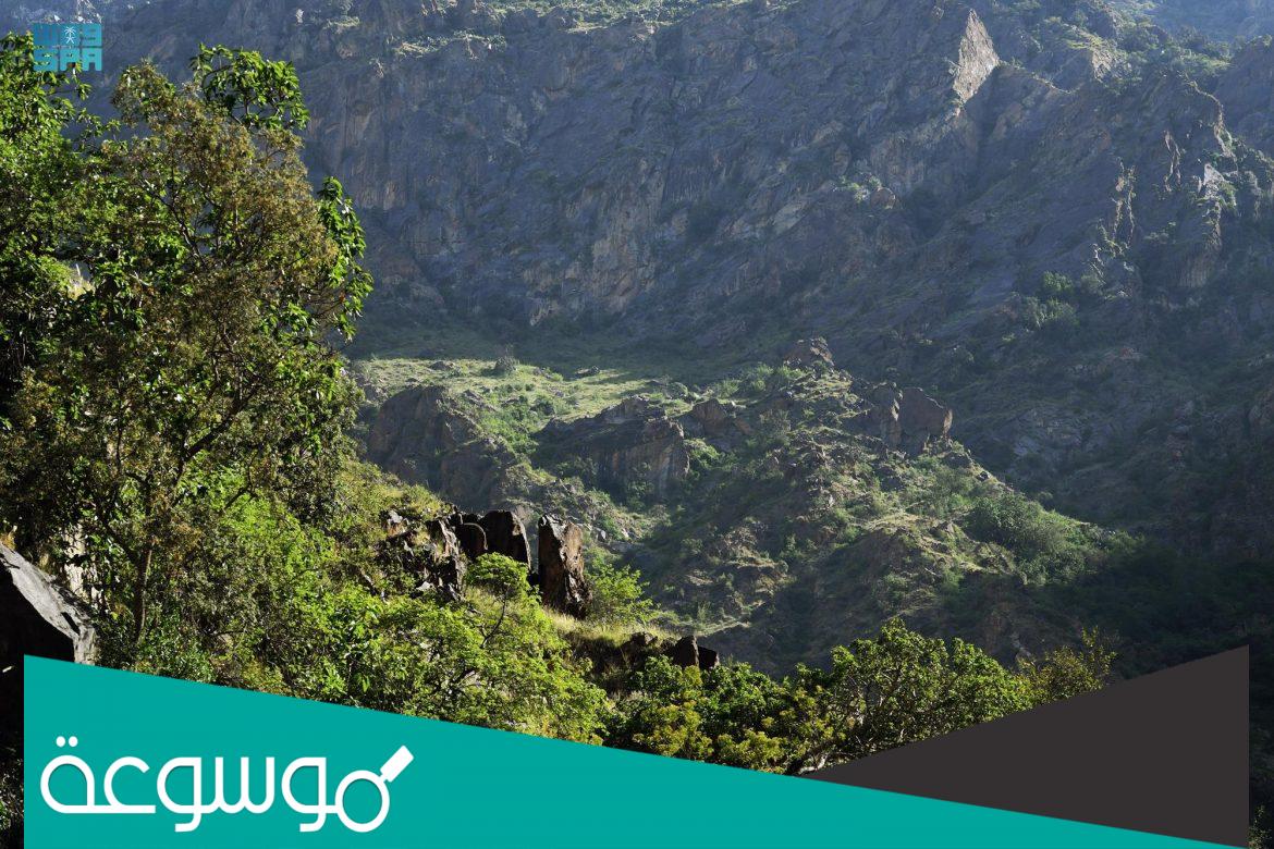 شروط اصدار تصاريح المخيمات في اراضي الغطاء النباتي والمتنزهات بالمملكه