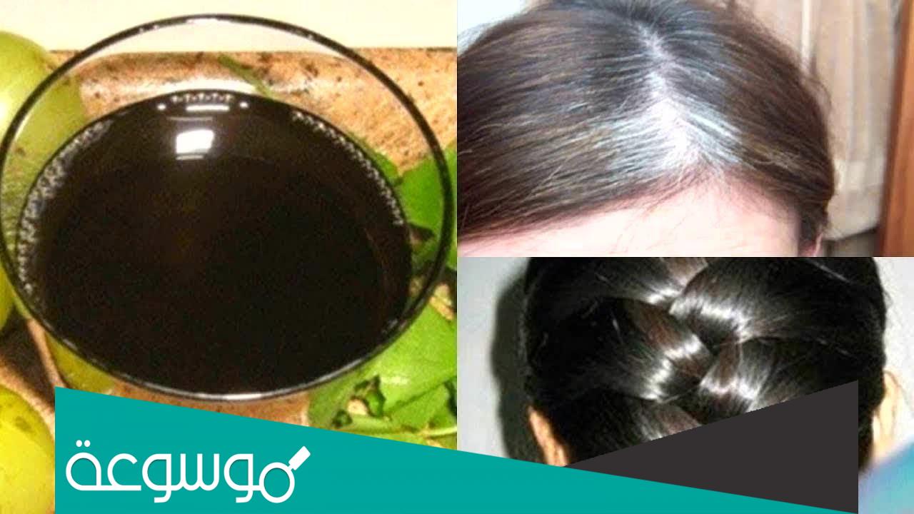 خلطة للشيب مضمونة وطريقة تحضيرها