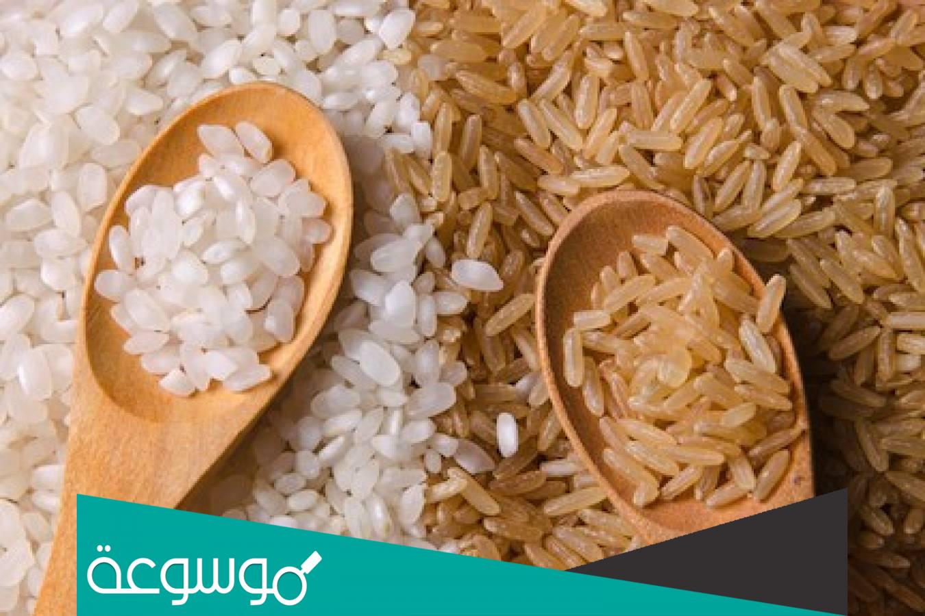 أبرز فوائد الأرز للصحة والجسم بشكل عام