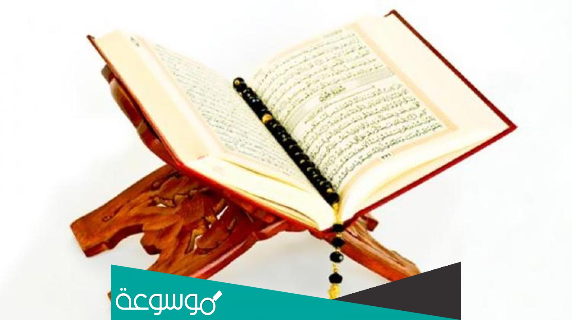 ألم تر إلى ربك كيف مد الظل؟