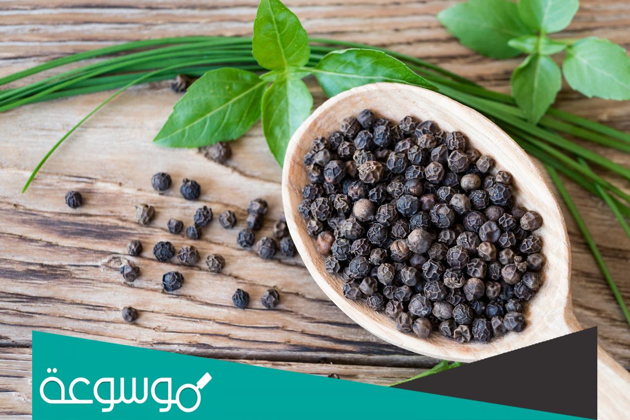 أضرار الاكثار من الفلفل الأسود وأهم فوائده