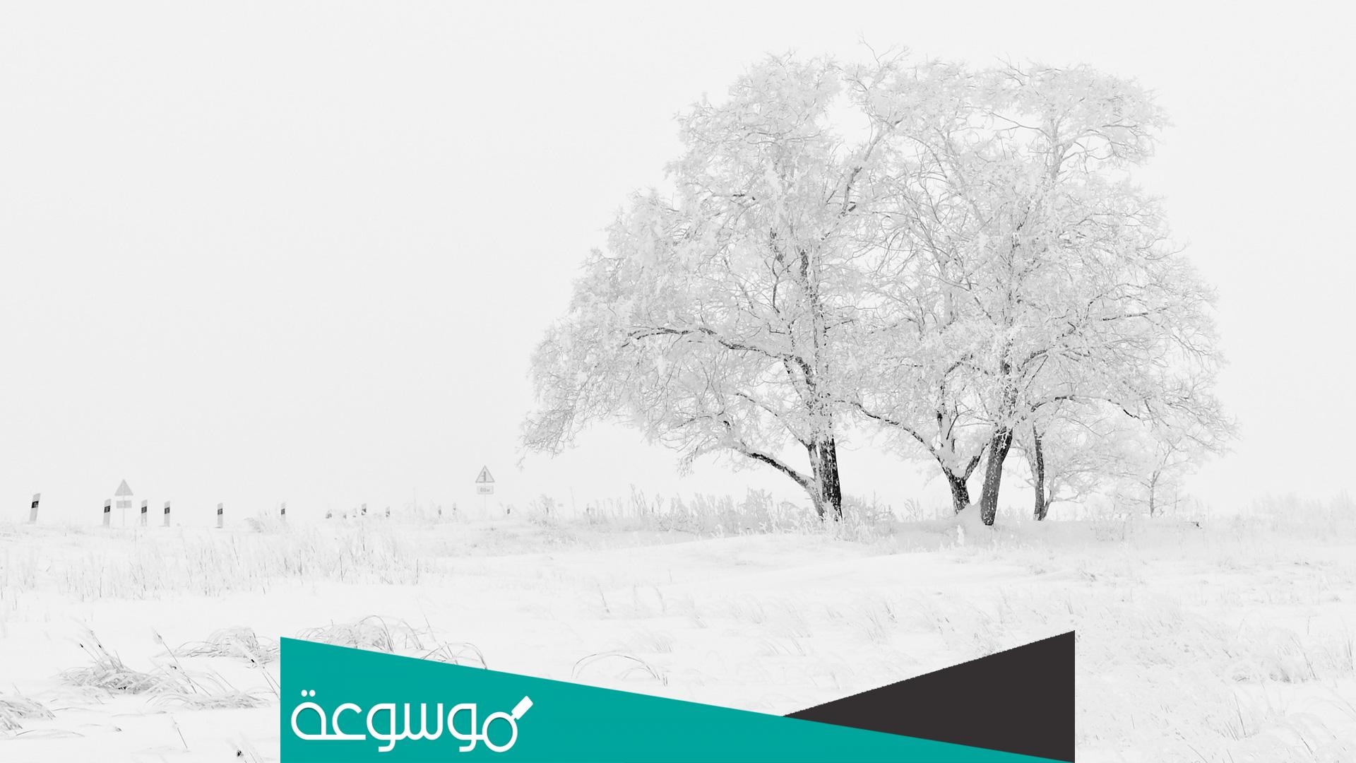 هل يجوز الوضوء بالثلج